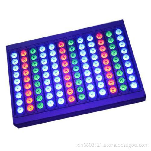 led rgb flood lights 1000w RGB LED Floodlight